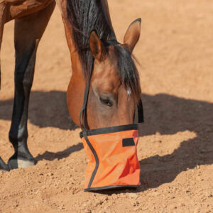 Horse Feed Bag