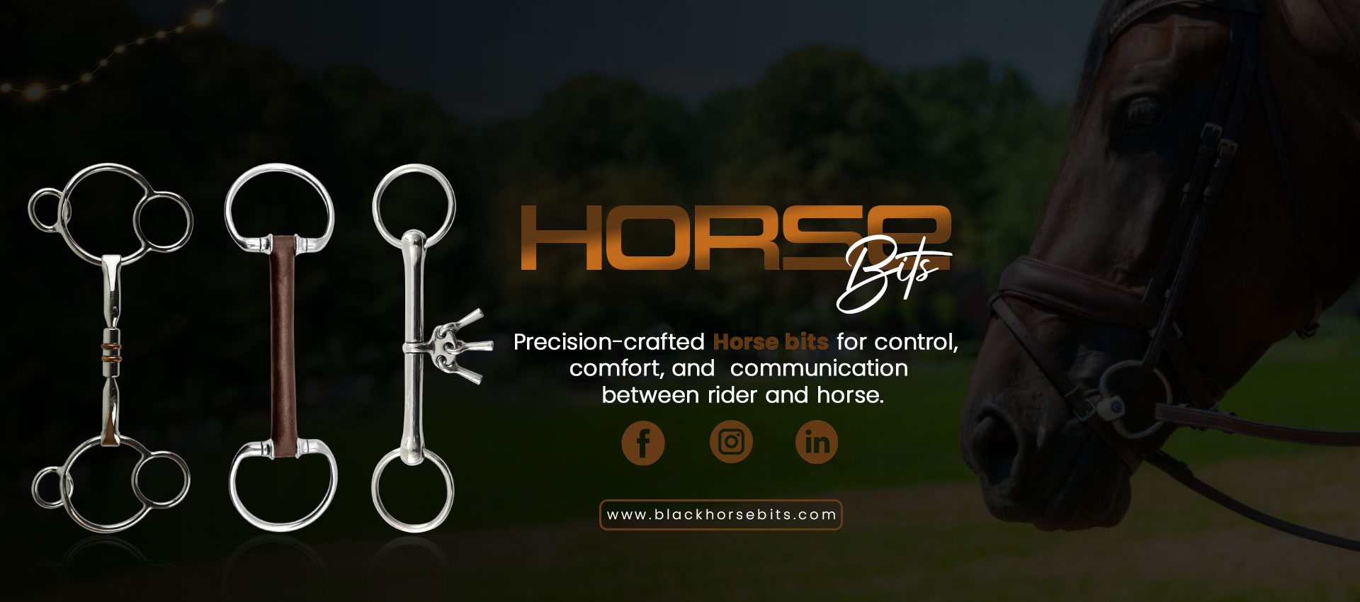 horse bits