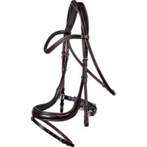 Premium Horse Bridle