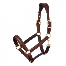 Halters