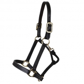 Halters