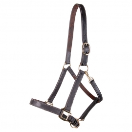Halters